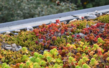 the cost of Walham Green green roof installation